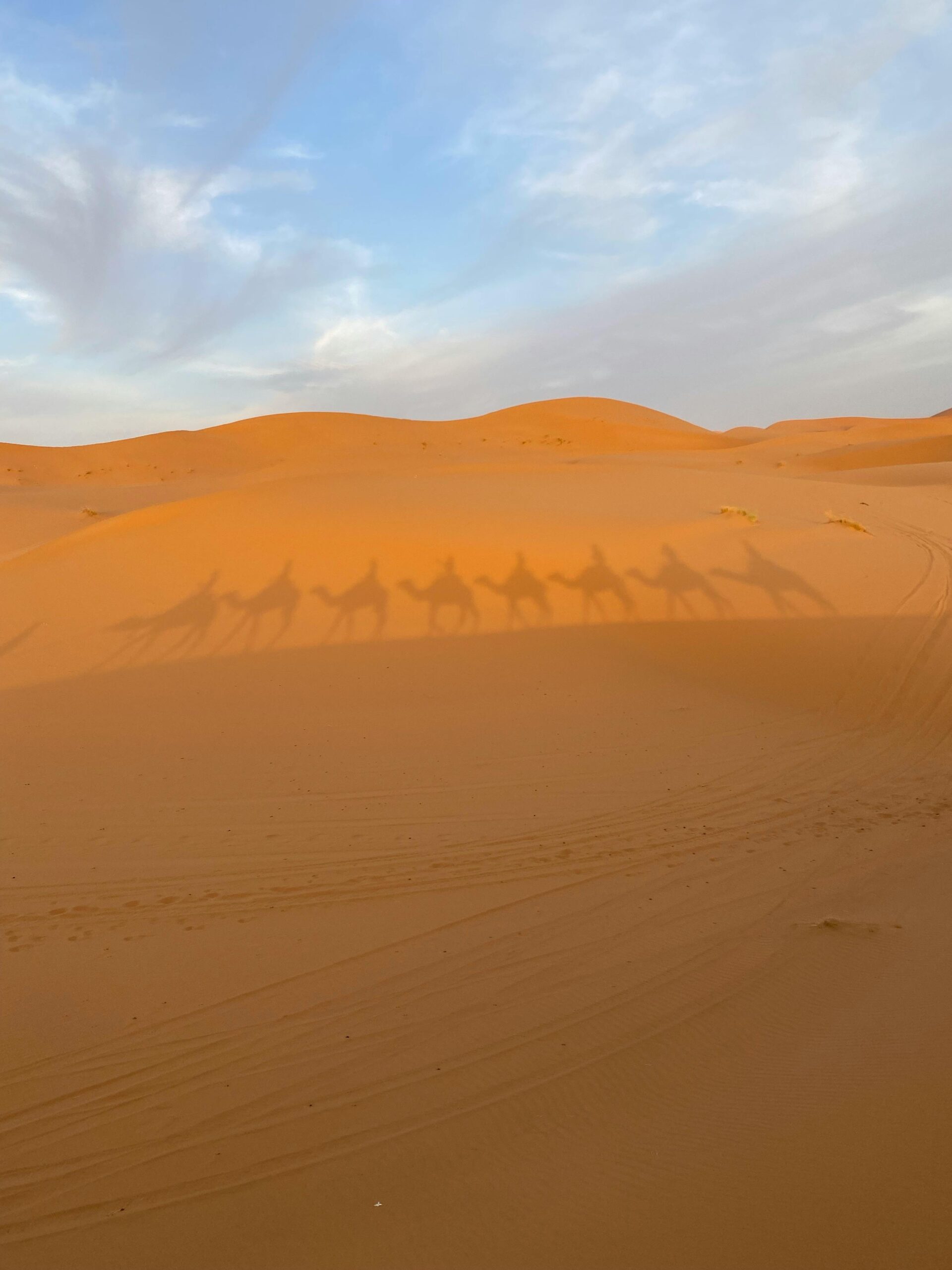 De Saharaoui nomaden