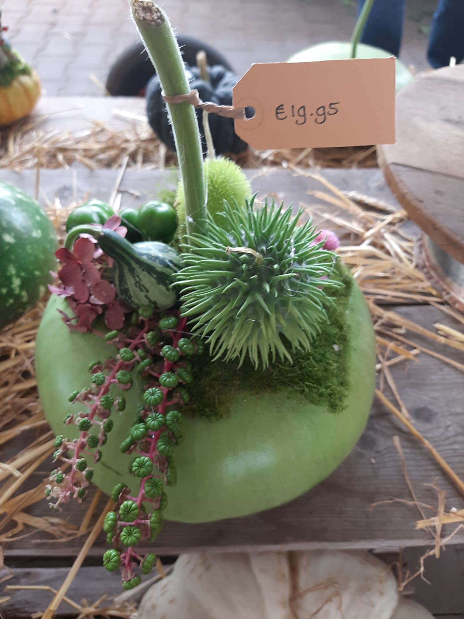 Foto’s tuinclub  herfstfair kwekerij Van der Velde Heerde vrijdag 12 september 2025