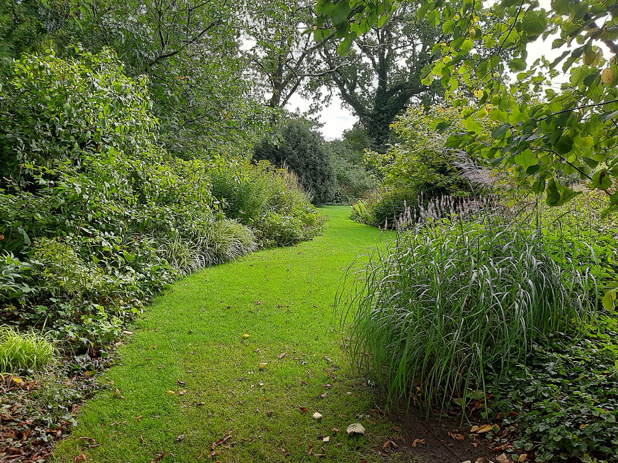 Foto’s tuin ”De Hoefslag” Gorssel donderdag 4 september 2025