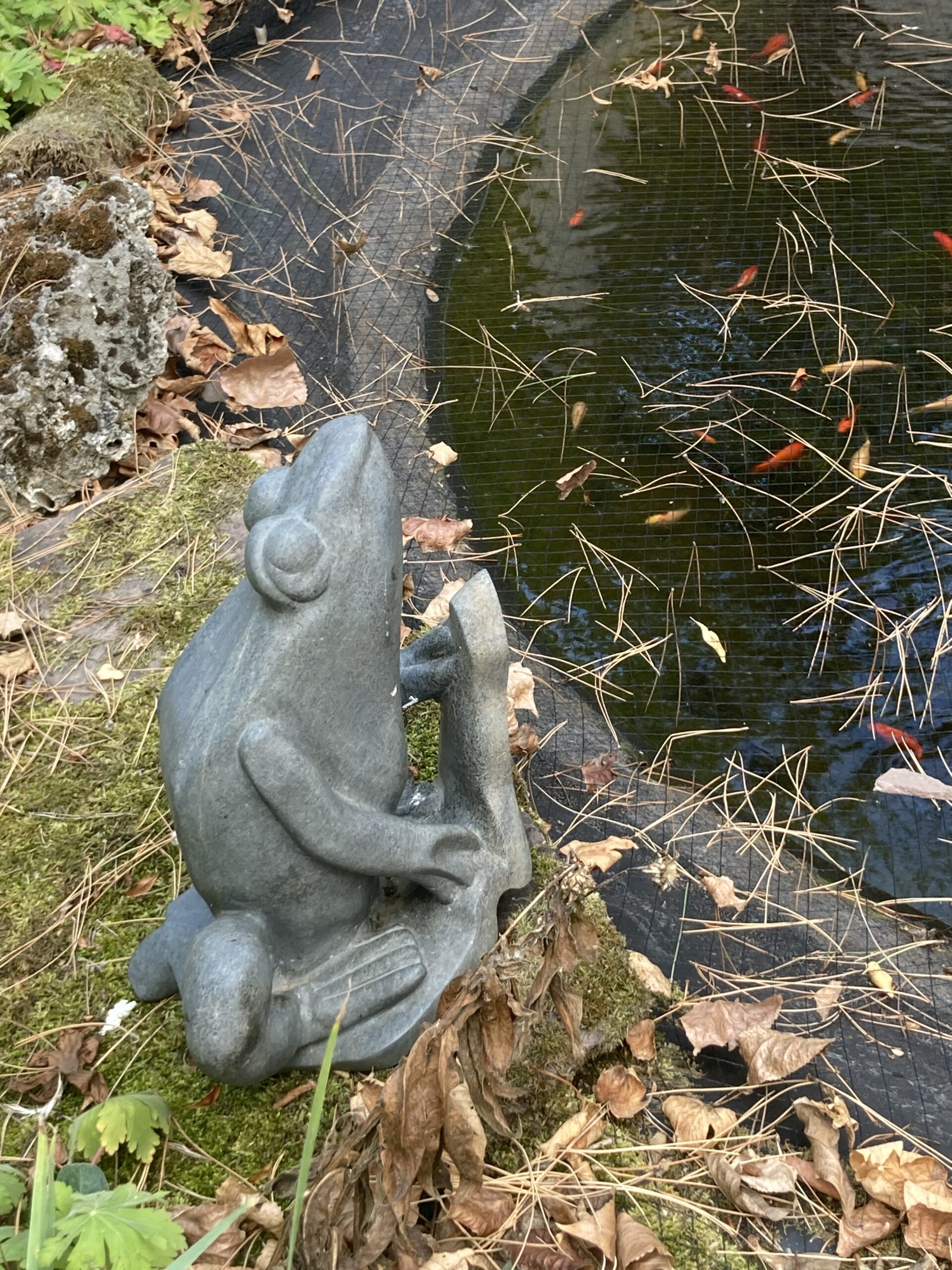 2025-09-08 Tuinclub.