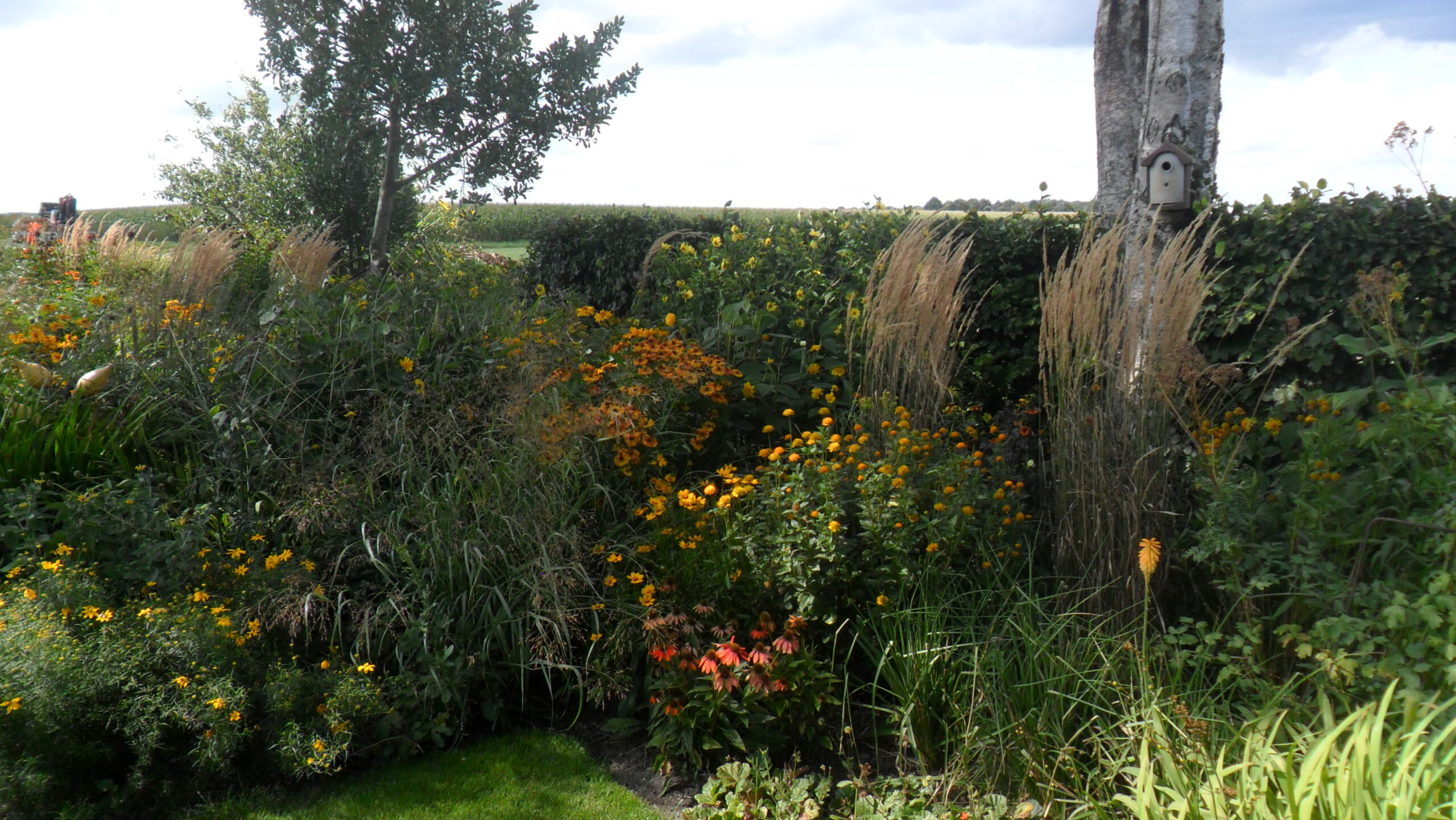 Tuinclub 2-9-2025 Odoornerveen