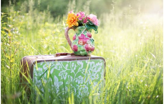 Nieuwsbrief zomer 2025