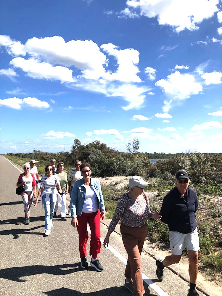 Vanmiddag een leuke wandeling gemaakt met 10 dames over de “Veersegatdam…