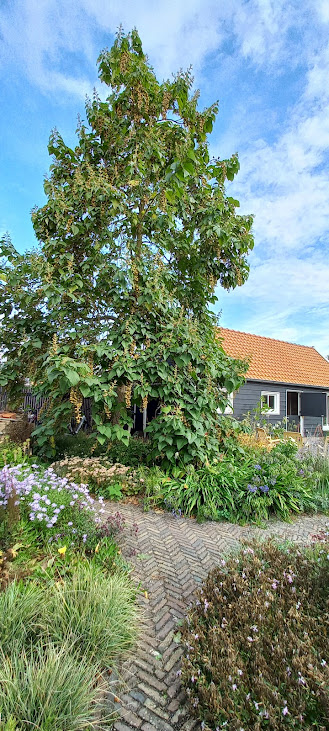 2025-09-11 Tuinbezoek aan” Zwelmhof”