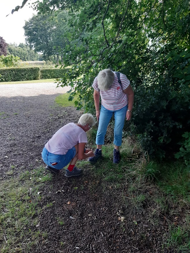 Wandelen in zomers Reestdal 2025