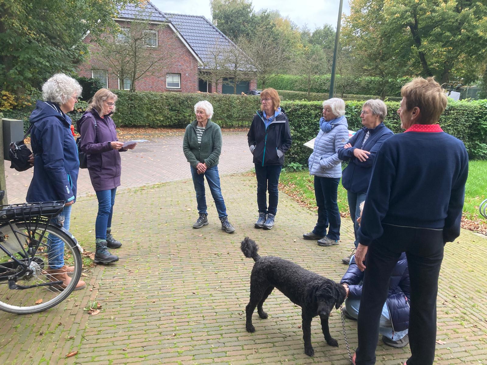 Op naar de 100