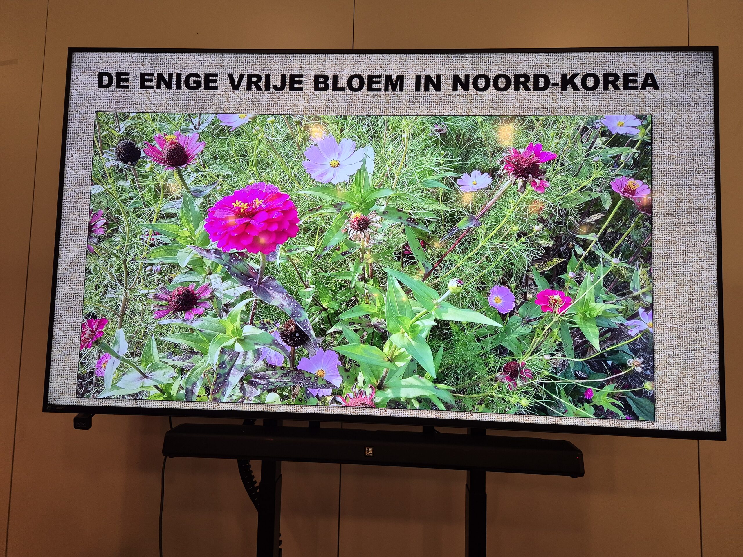 Afdelingsavond oktober 2025