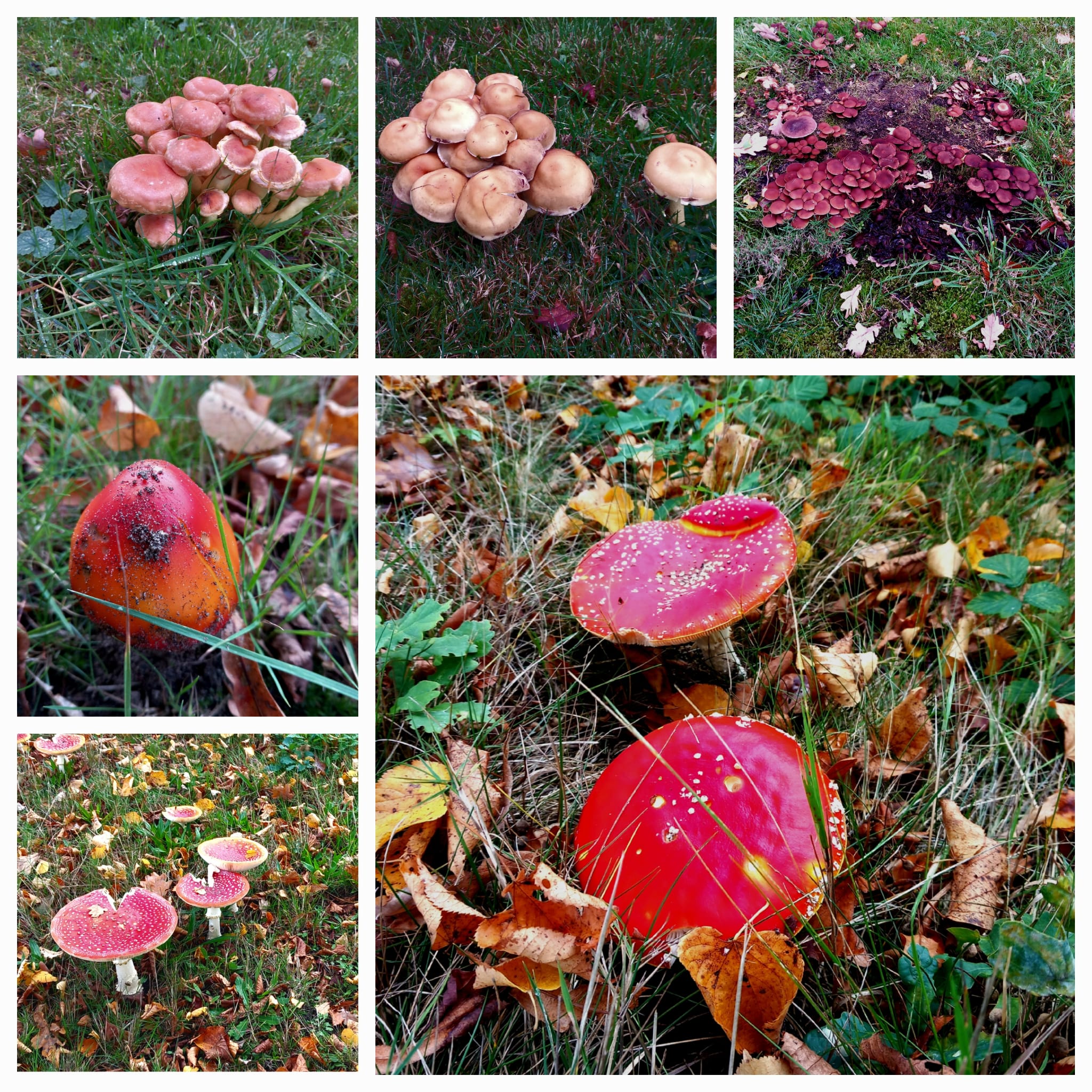 Nieuwsbrief van oktober