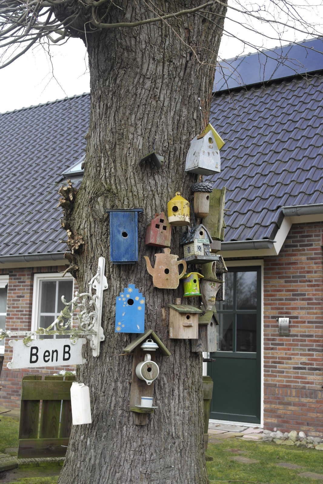 Wandelen Dalerveen maart 2025