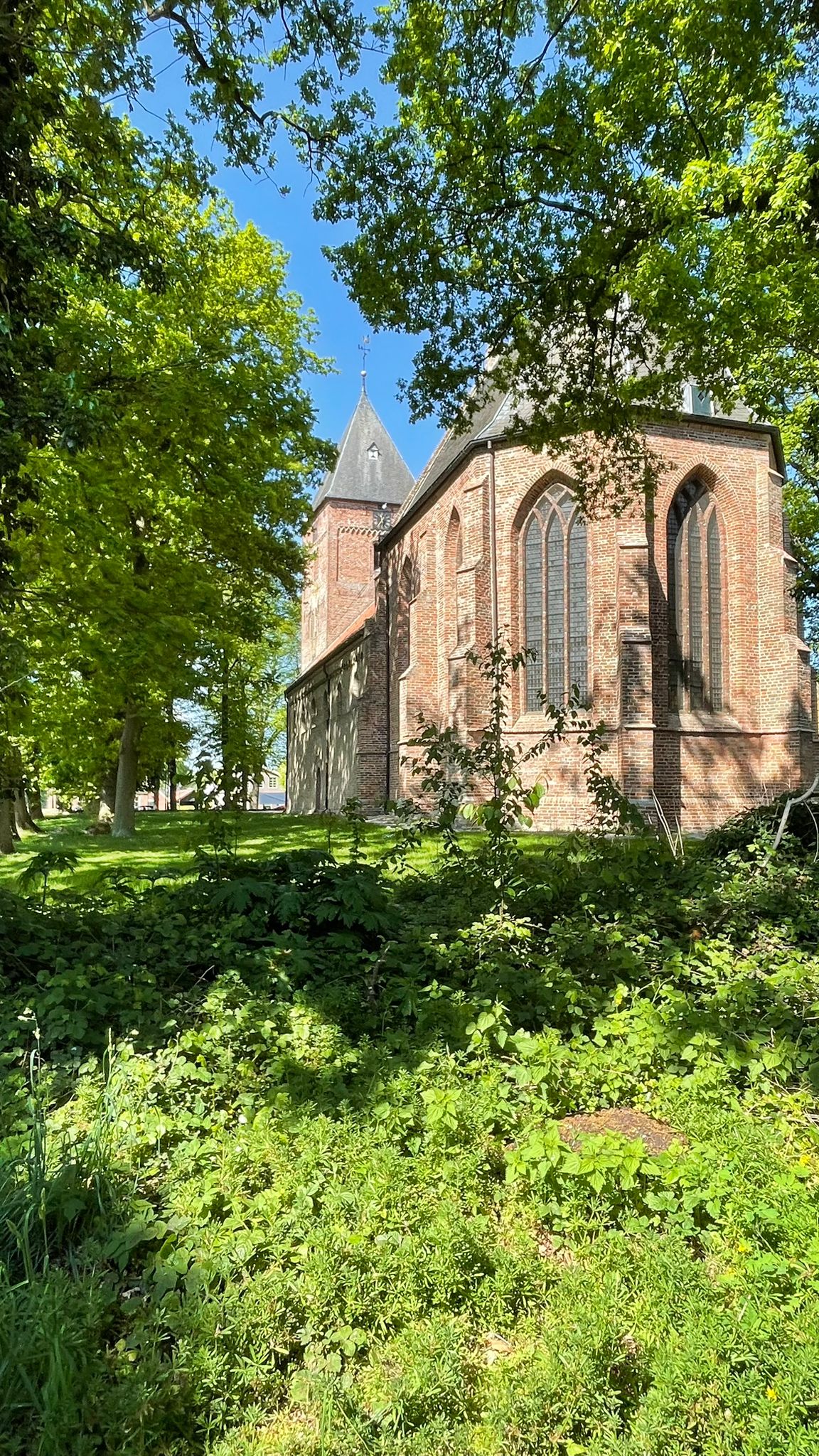 Wandelen Vries mei 2025