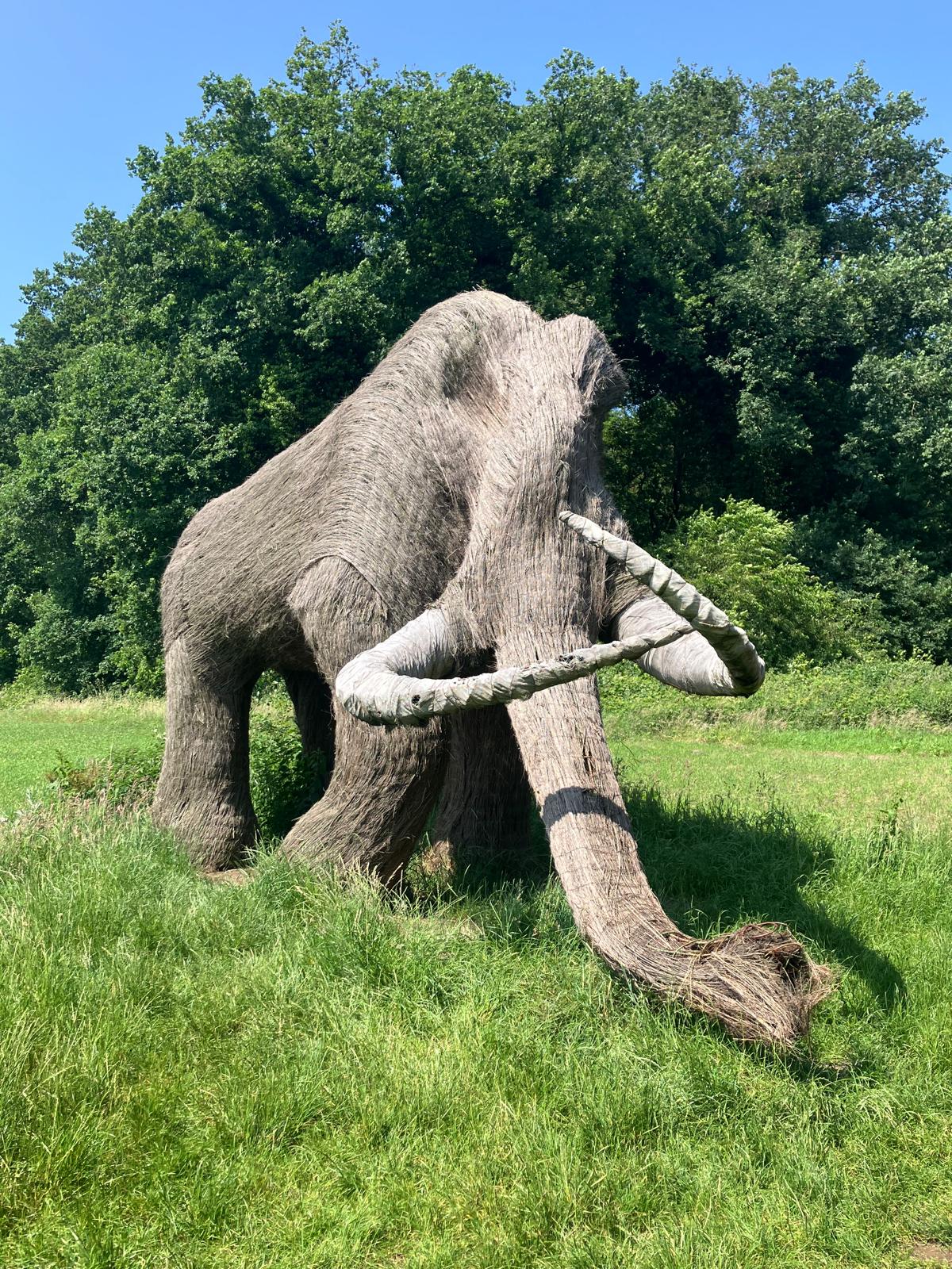 Wandelen Borger juni 2025