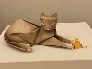 IMG_1651