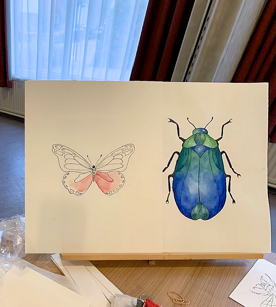 Schilderijtjes maken van insecten