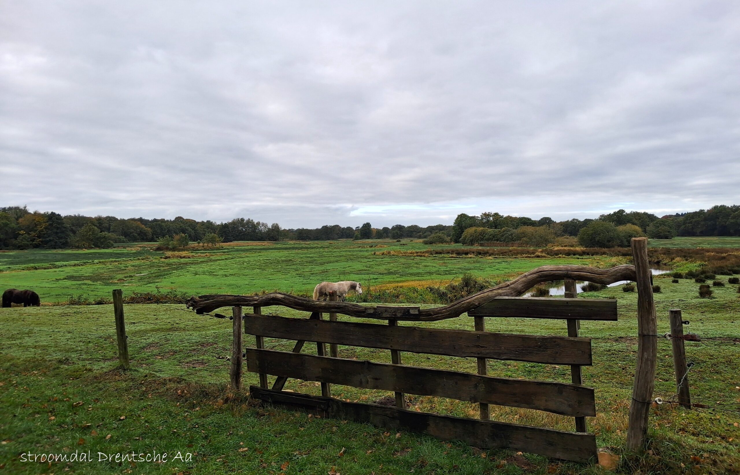 Drenthe