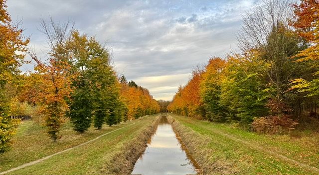4 november 2025 korte wandeling in Barneveld