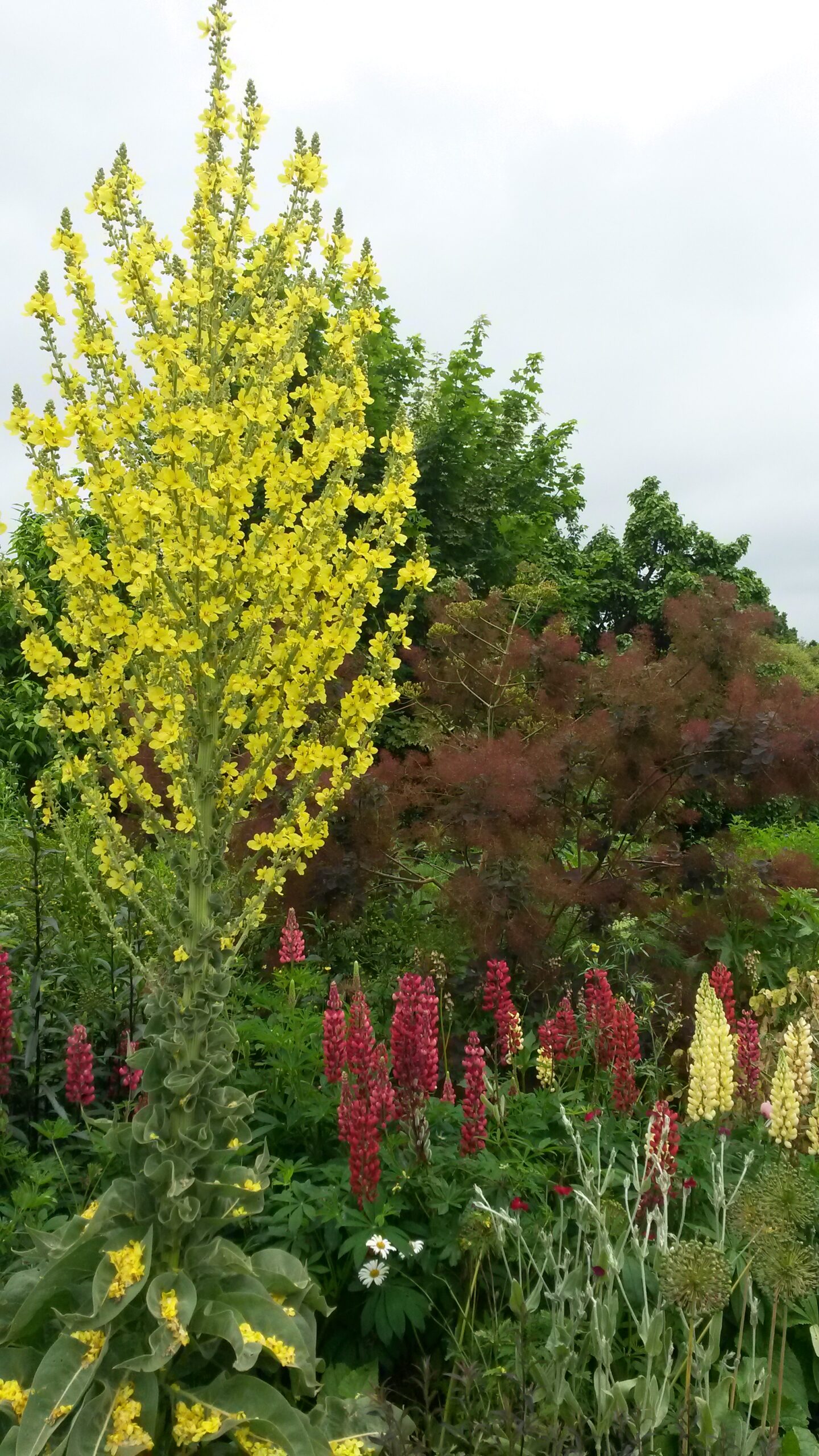 Engelse Riviera in Groot-Brittannie