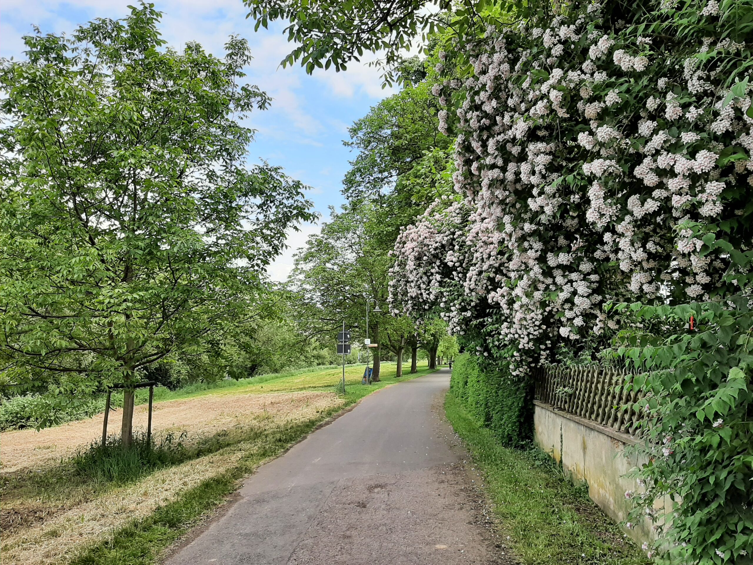 Groene Hart in Duitsland – fietsvakantie