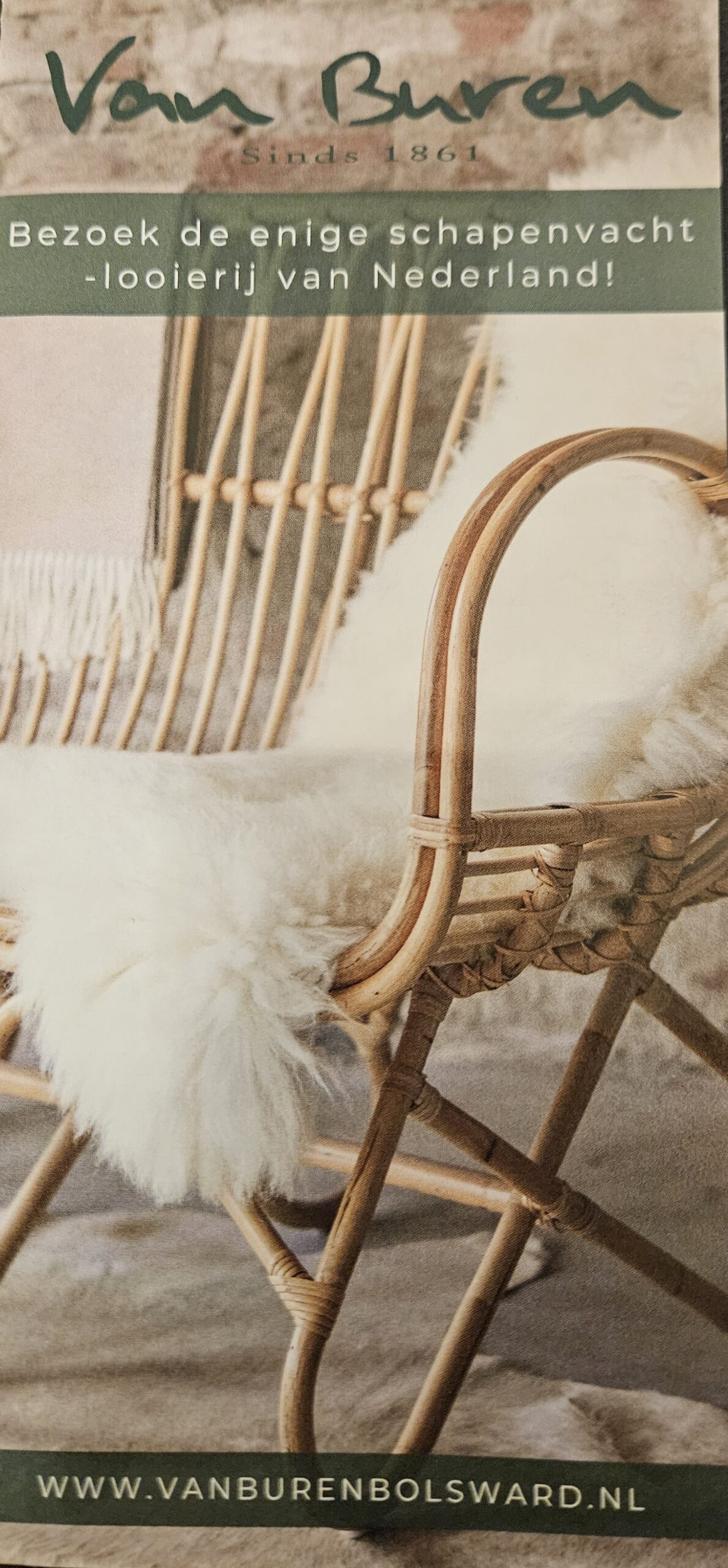 Excursie Schapenvacht Looierij Van Buren 21 november 2025