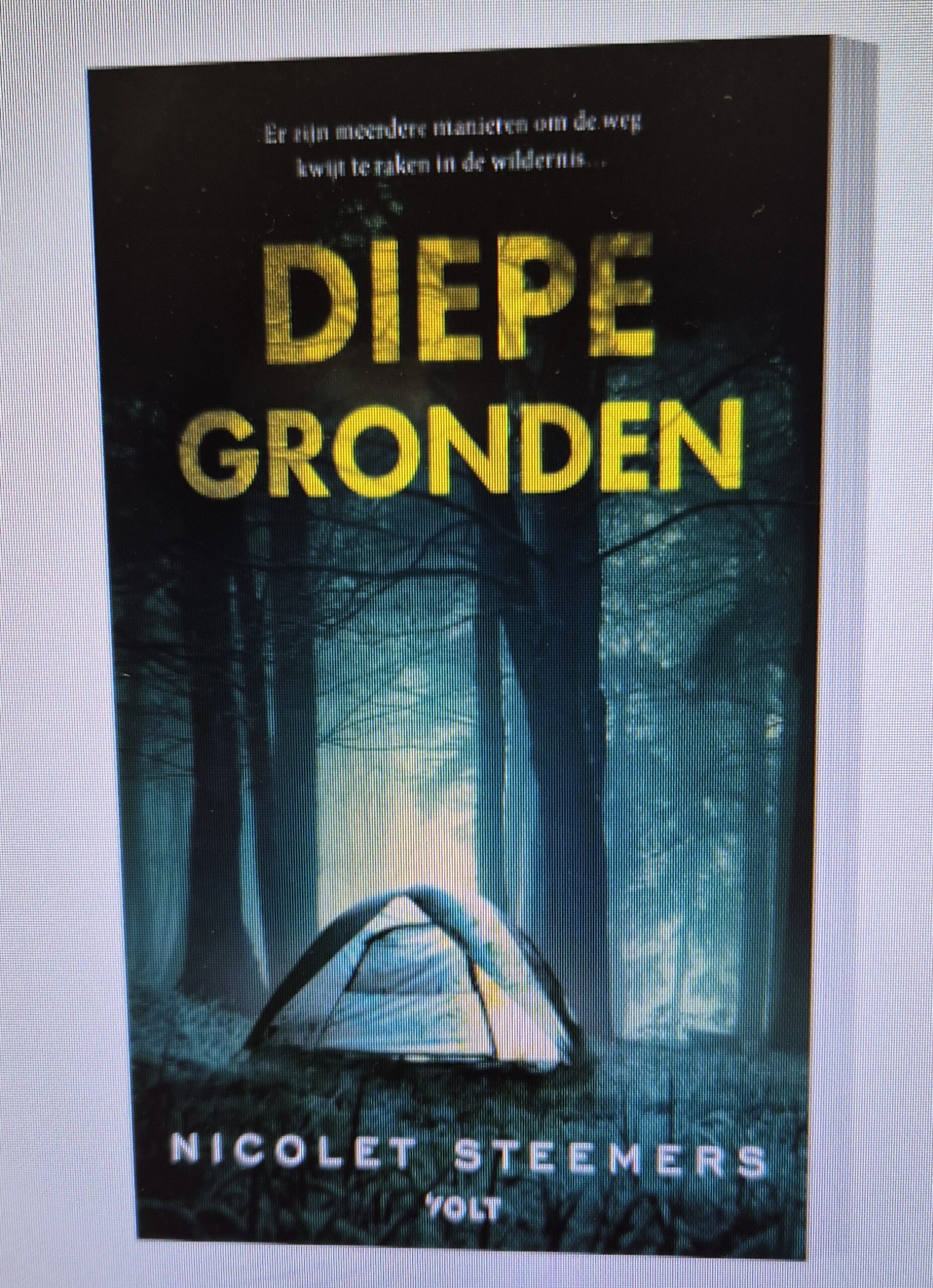 Lezing van Fictie- en toneelschijfster Nicolet Steemers