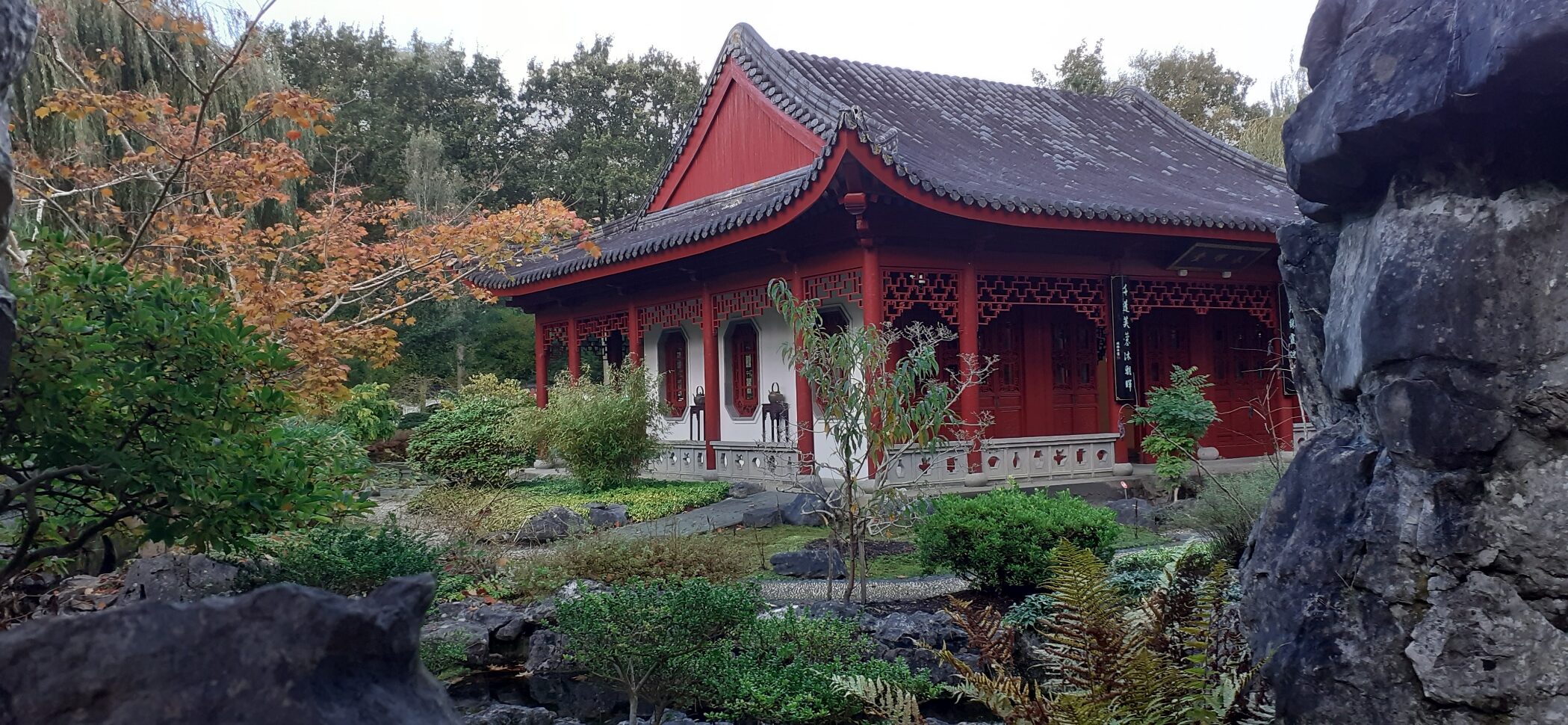 Museumclub naar de Hortus in Haren