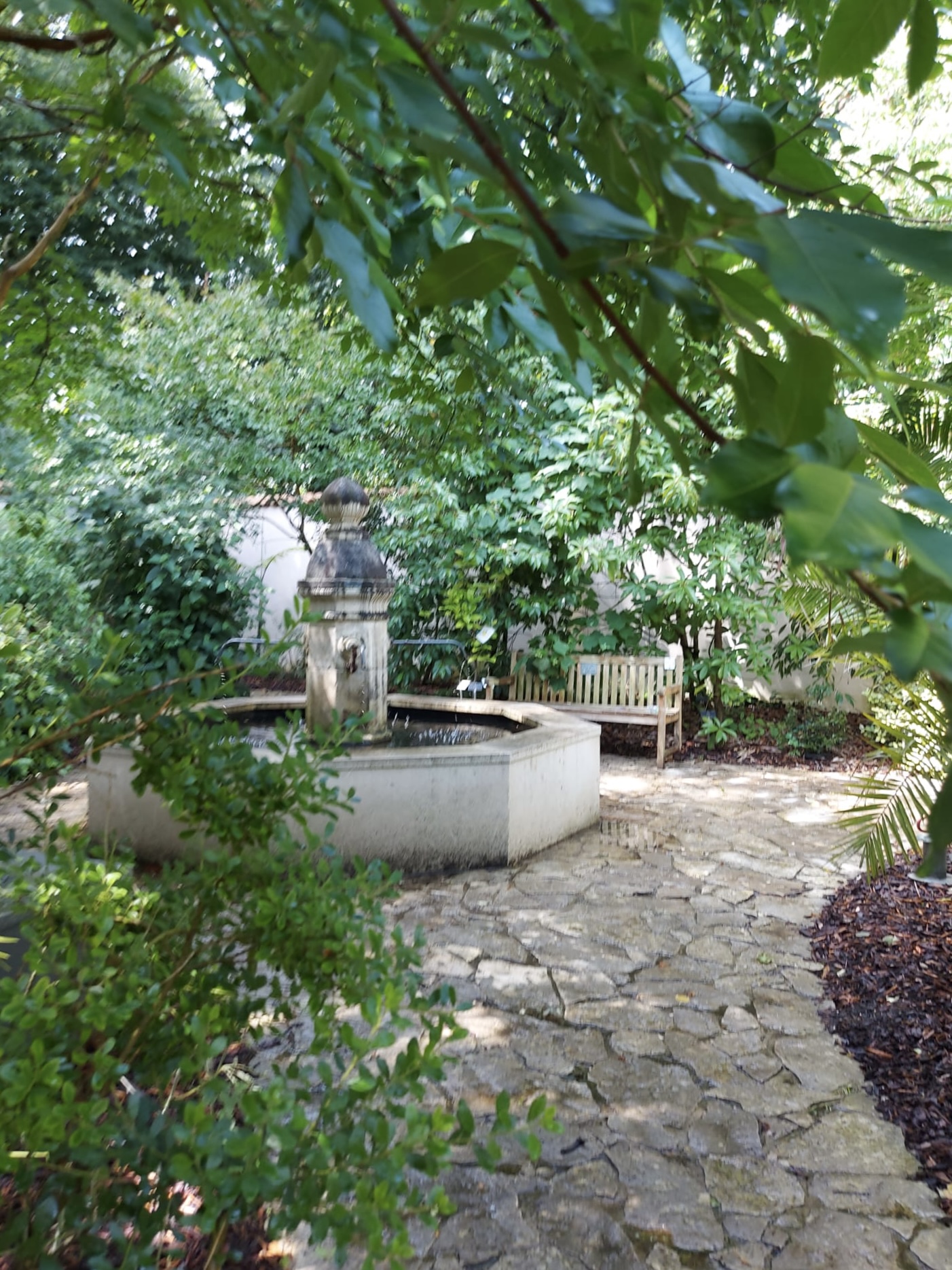 Beschrijving interessegroepjes