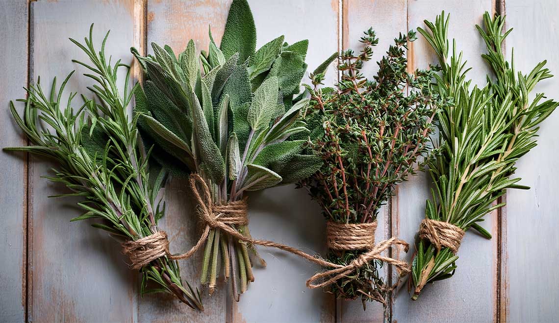 Verslag afdelingsavond woensdag 12 november