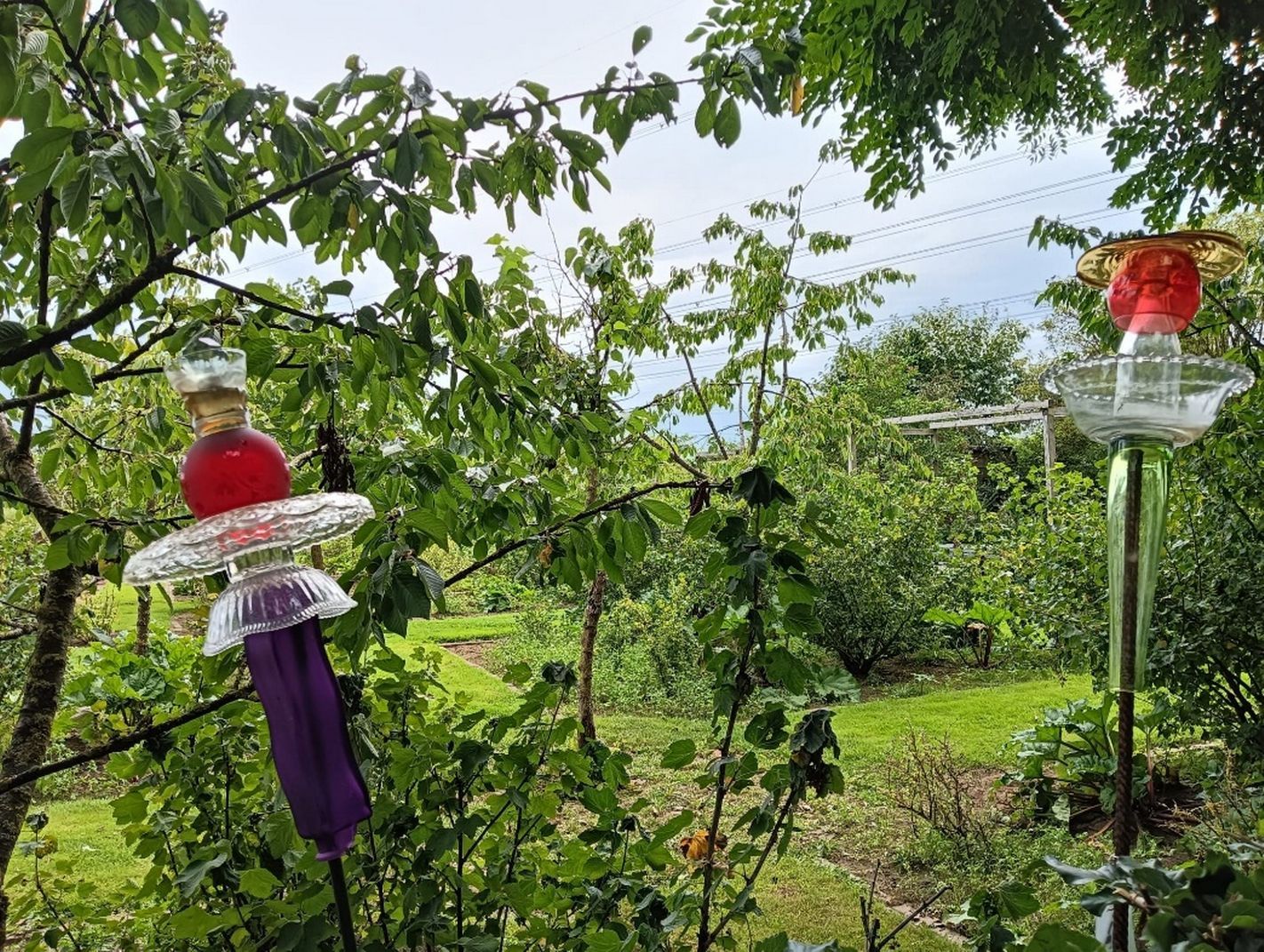 Tuinclub 24 Februari 2026  Glaskunstwerk maken