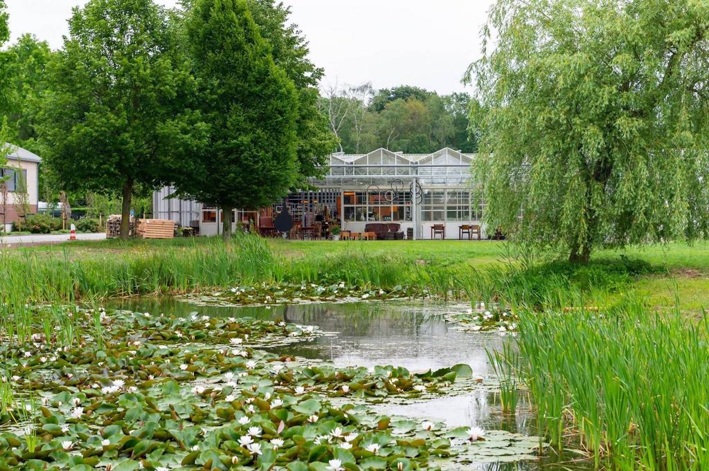 Provinciale wandeling Vrouwen van Nu donderdag 28 mei 2026 Zwolle