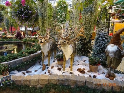 Reisje naar Pantropica in Kerstsfeer