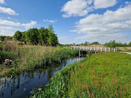 Provinciale Wandeling in Zwolle