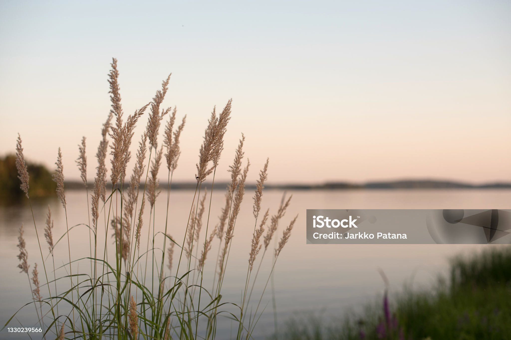 Agrarische thema dag.