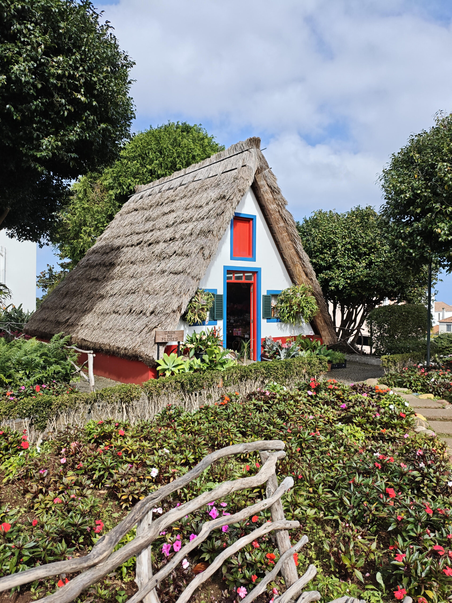 Verslag: Reis Madeira 4 t/m 11 november 2025