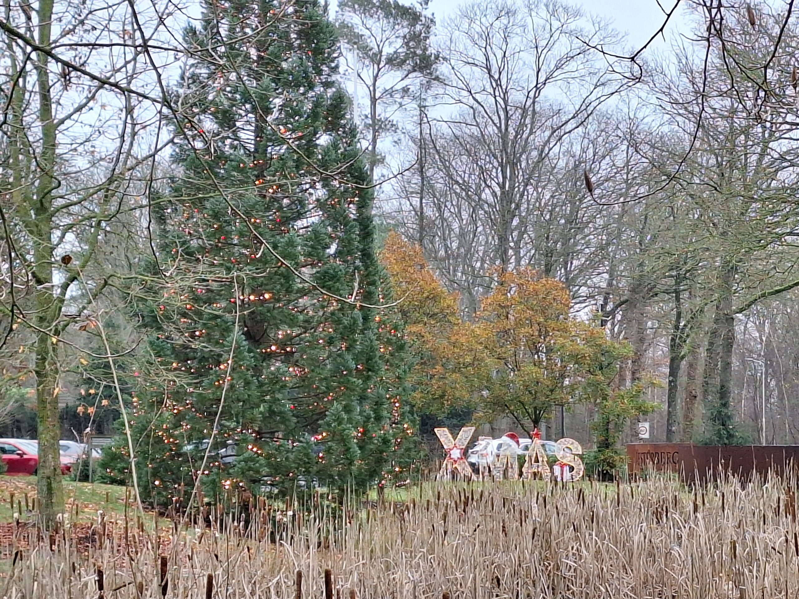 Echten, prov. wandeling Drenthe, 11-12-2025