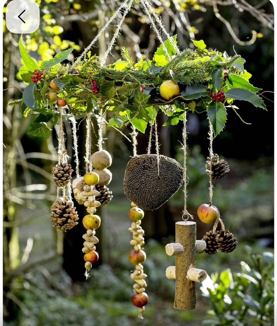 Bijeenkomst tuinclub