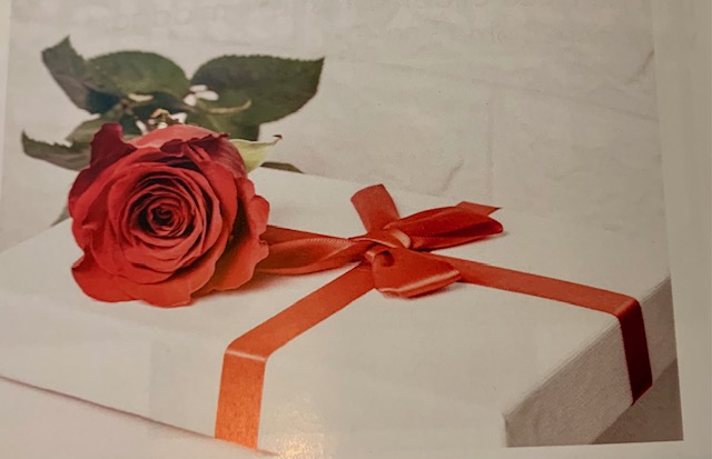 Programmaboekje 2026