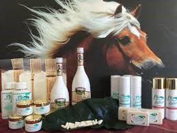 Bezoek aan Paardenmelkerij te Harbrinkshoek