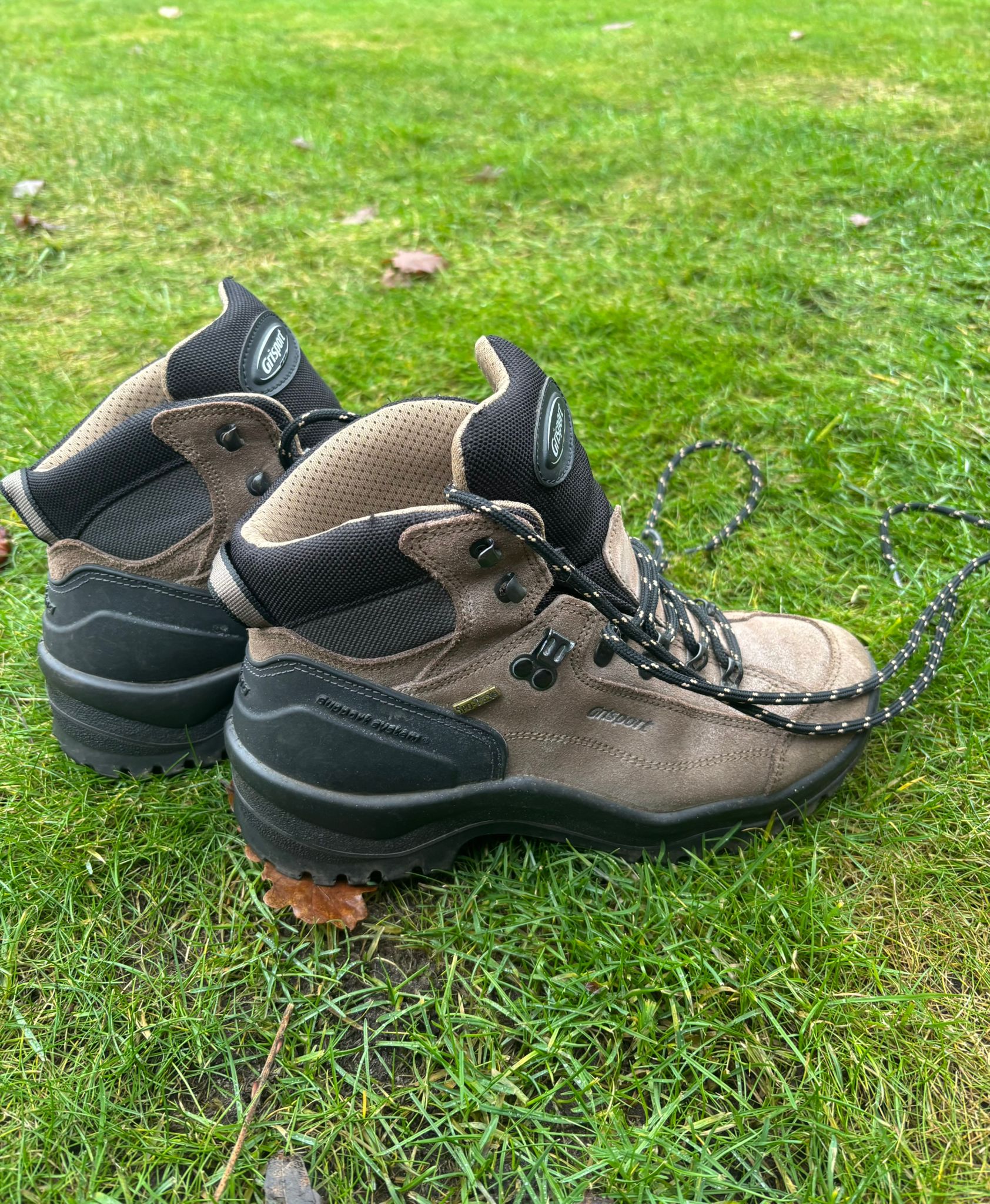 Provinciale wandeling Holte