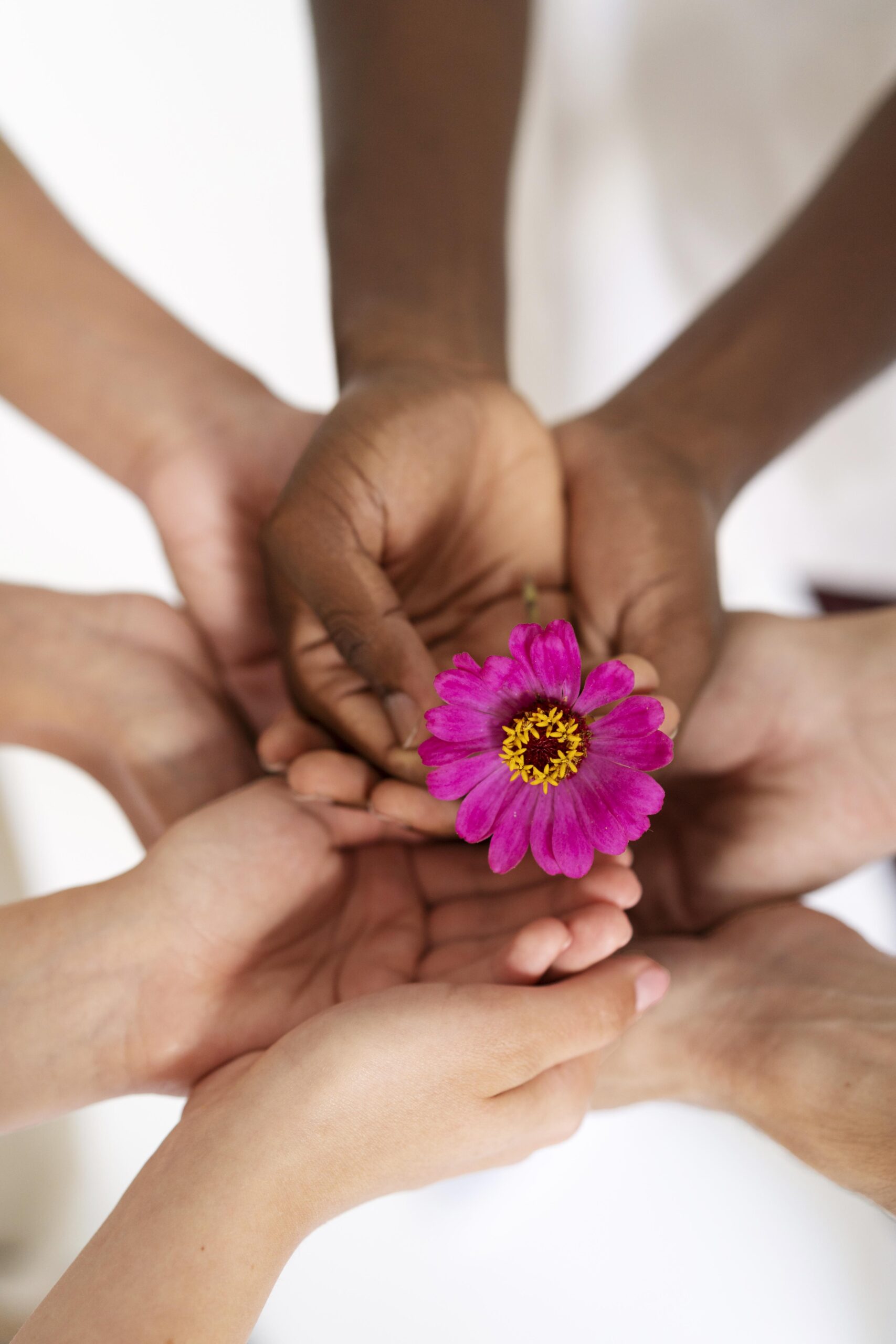 Vrouwen-koffie-ochtend