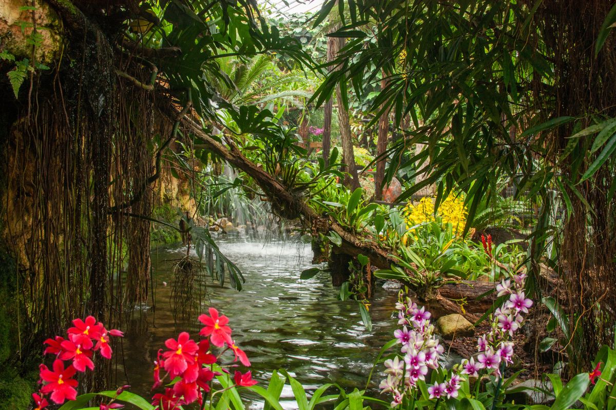 Bustocht naar Pantropica in Luttelgeest