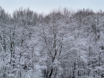 jaarverslag activiteiten 2025