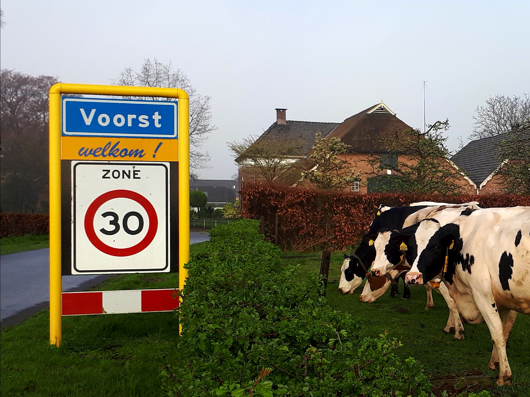 Voorst