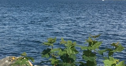 Afdelingsavond De Werkelijke Wereld van Water