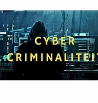 Cybercriminaliteit/internetfraude