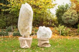 tuinclub 3 ‘vrouwenmantel’ Tuin winterklaar maken