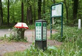 Afdelingsavond 3 juni. Sportieve avond