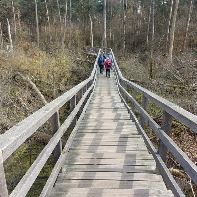 24 maart 2026 Stormpad Breeveen-Leersumseplas