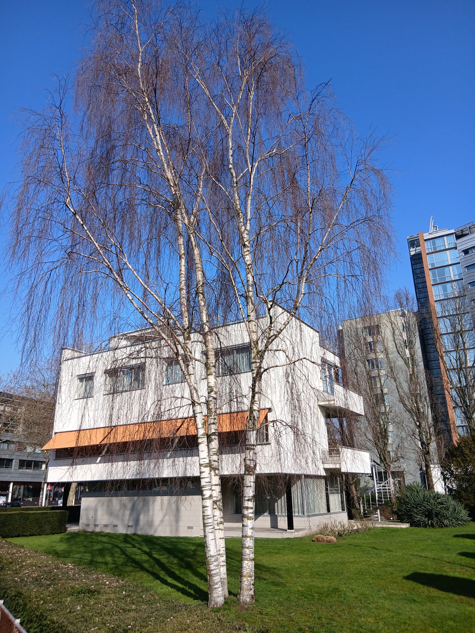 3-3 Museumgangsters bij huis Sonnenveld en Nieuwe Instituut Rotterdam