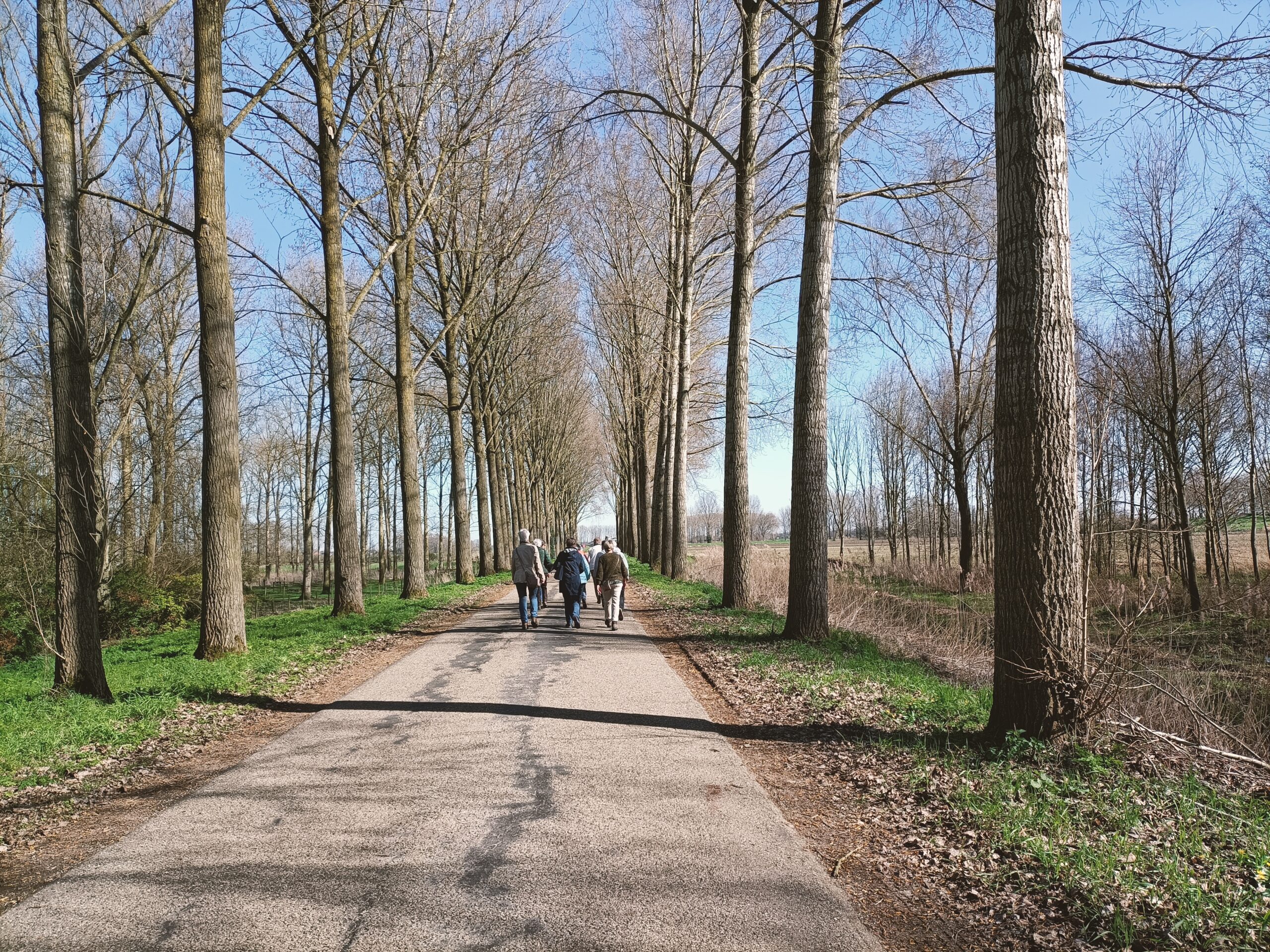 Wandeling VvN 16-3-2026 in Dussen