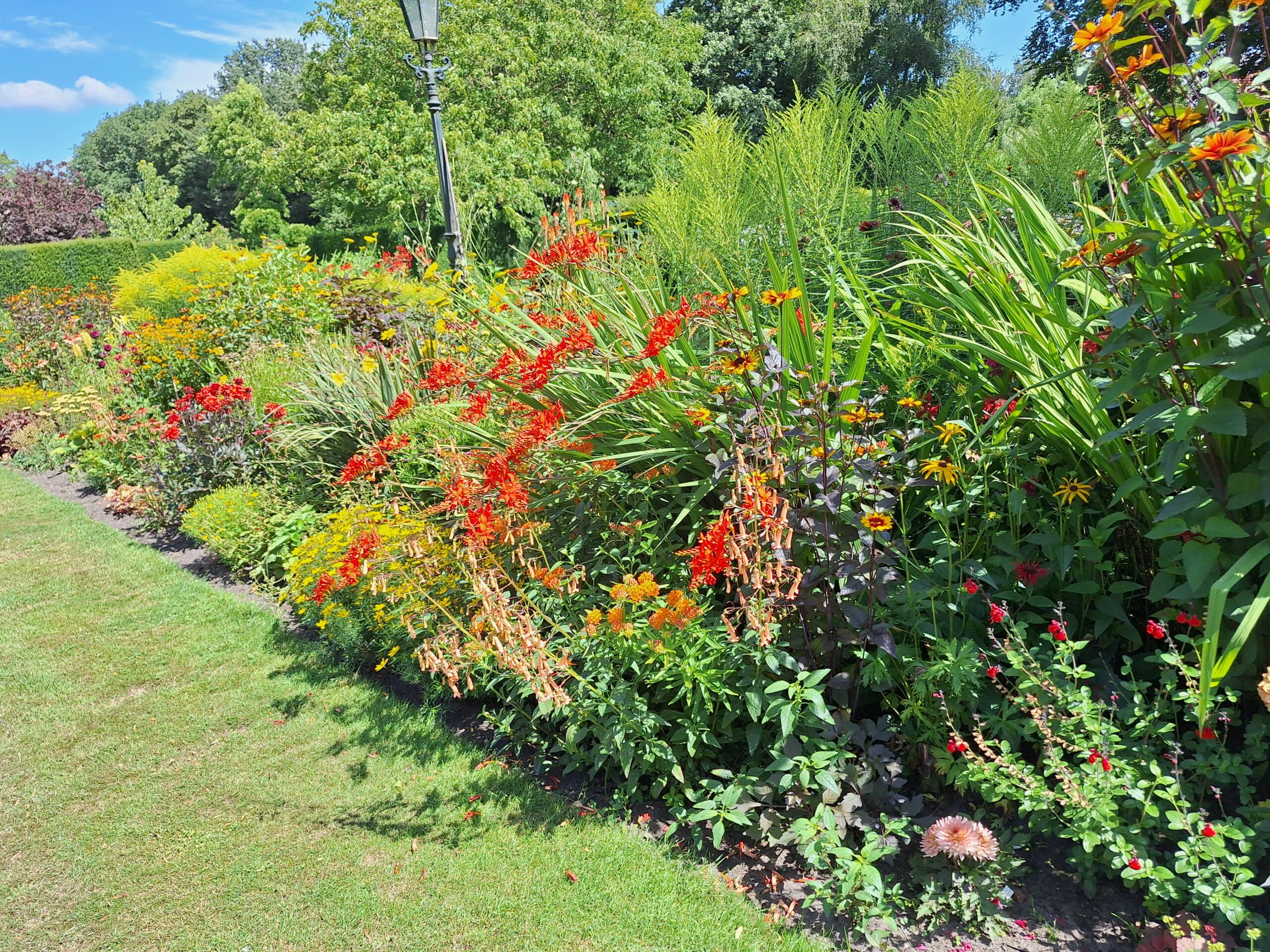 De Bloemenhave, Lemelerveld