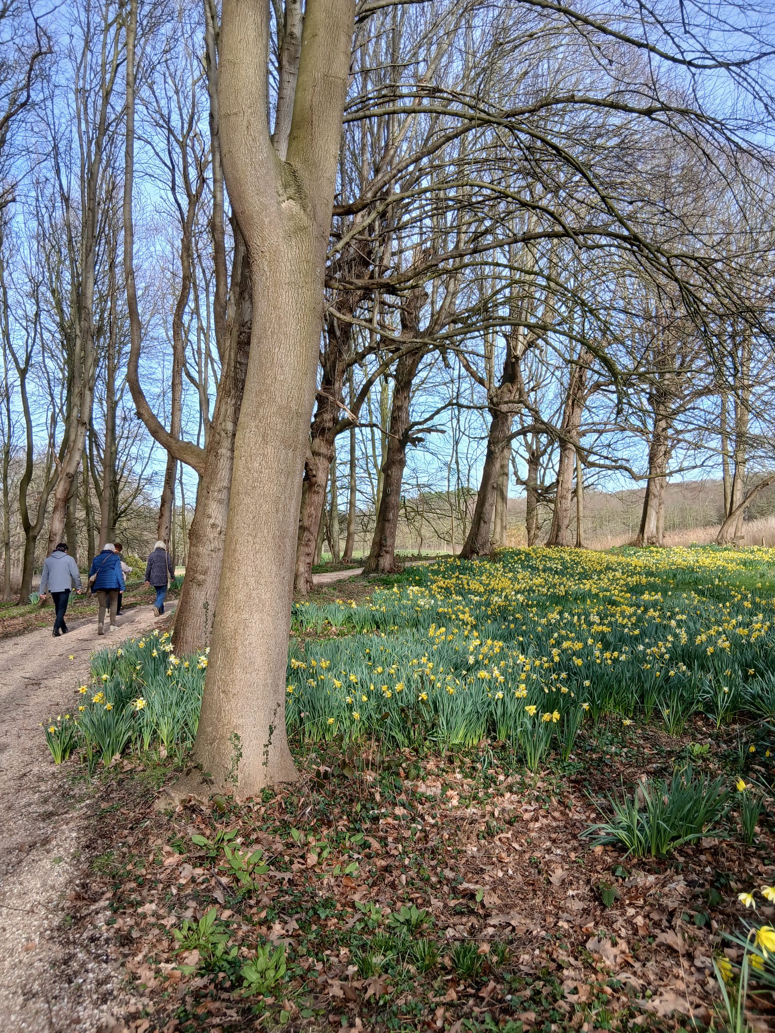 12-3-26 Wandeling de Manteling